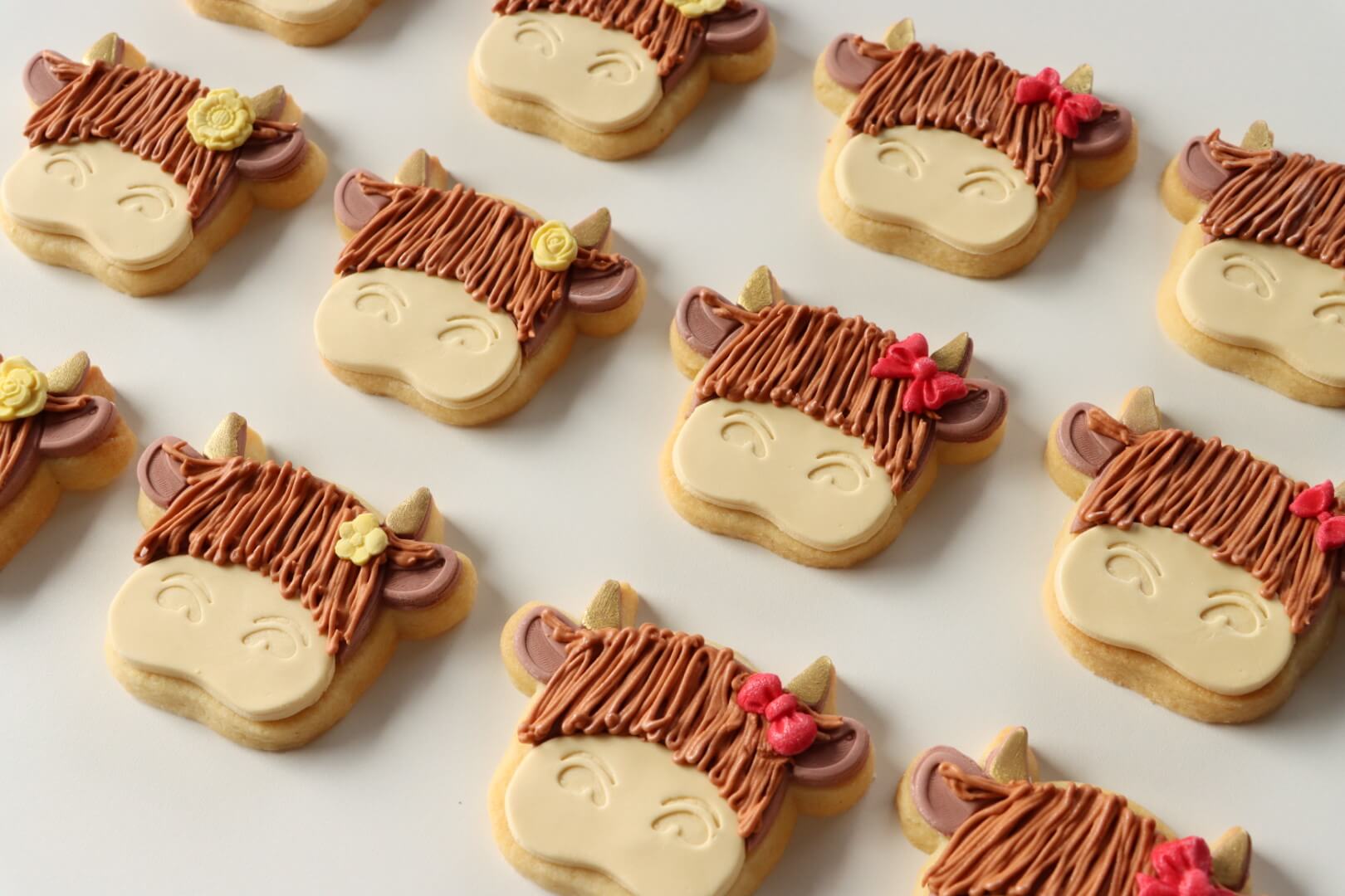 highland cow cookies